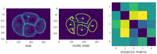 nodes_matrix_long_smooth.gif