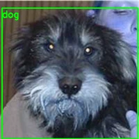 Devjyoti Chakraborty's profile picture