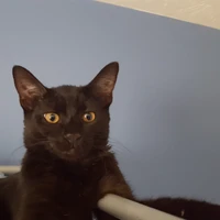 Trash--Panda's profile picture