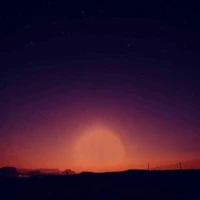 Chenyu Yang's profile picture